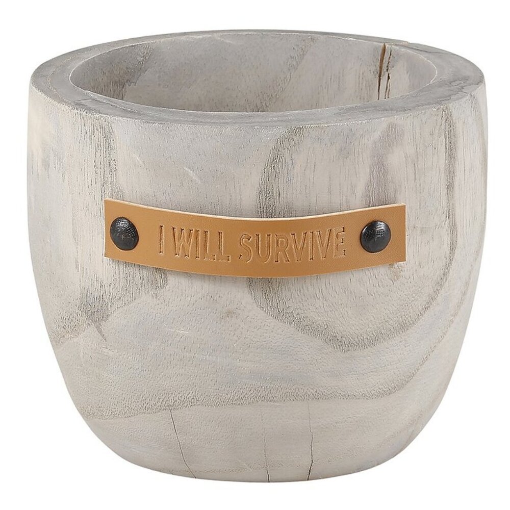 I will Survive Paulownia Wood Planter, New
